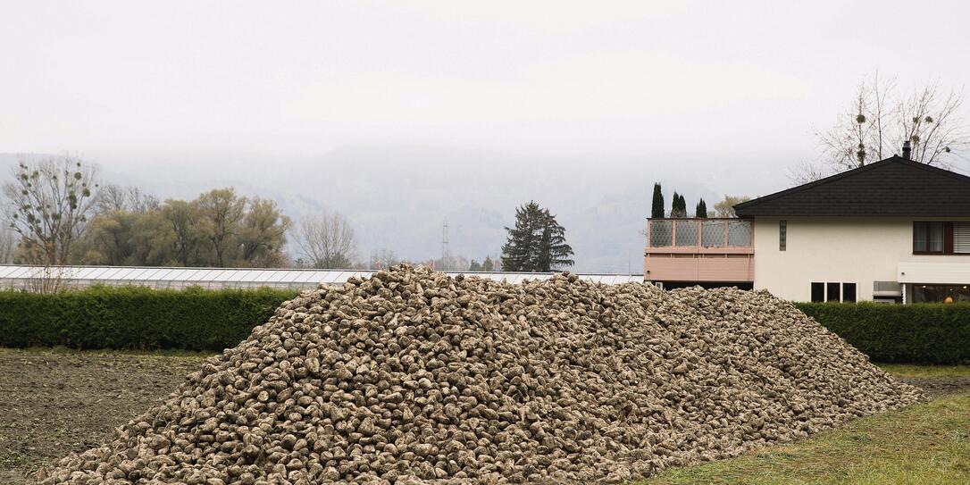Zuckerrüben, Vaduz